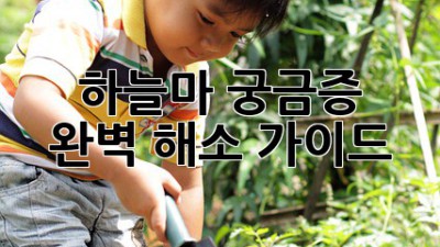 하늘마: 궁금증 완벽 해소 가이드