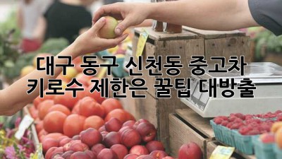 대구 동구 신천동 중고차, 키로수 제한은? 꿀팁 대방출!